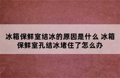 冰箱保鲜室结冰的原因是什么 冰箱保鲜室孔结冰堵住了怎么办